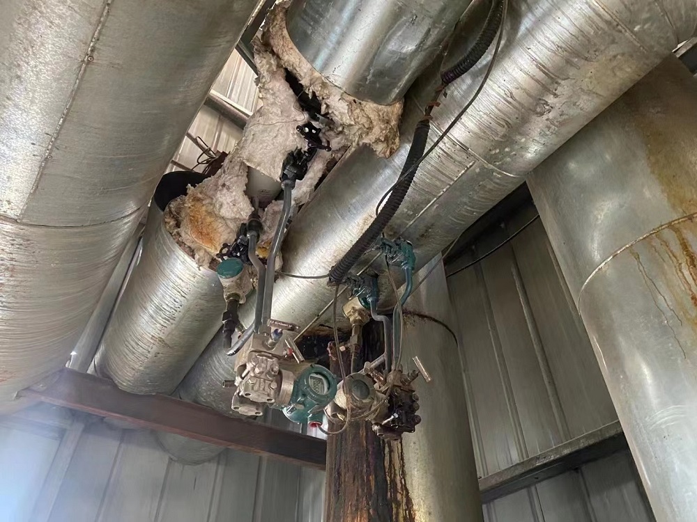 V錐流量計(jì)在導(dǎo)熱油爐計(jì)量應(yīng)用